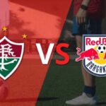 Nhận Định Fluminense RJ Vs Bragantino Lúc 06H00 Ngày 18/07 - VĐQG Brazil
